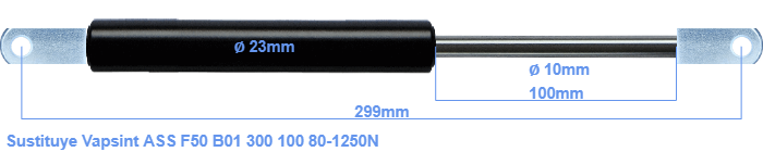 Vapsint ASS F50 B01 300 100